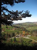  31. Oktober 2009 - Blick vom Ginkgo Richtung Bodensee